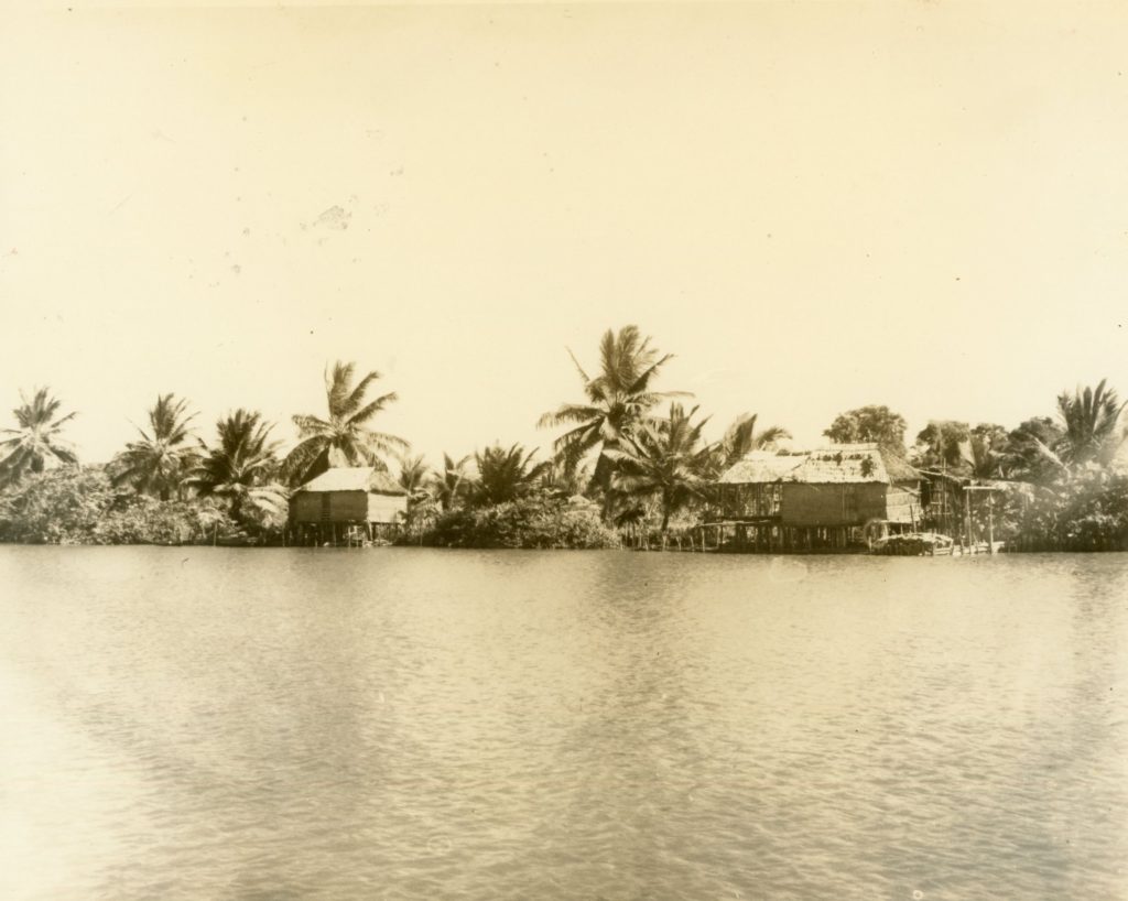1947. Noviembre - Diciembre. Vista del Río Limón, estado Zulia.