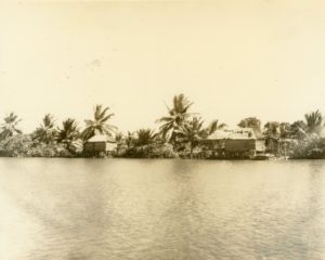1947. Noviembre - Diciembre. Vista del Río Limón, estado Zulia.